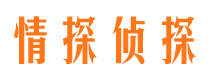 茫崖侦探公司